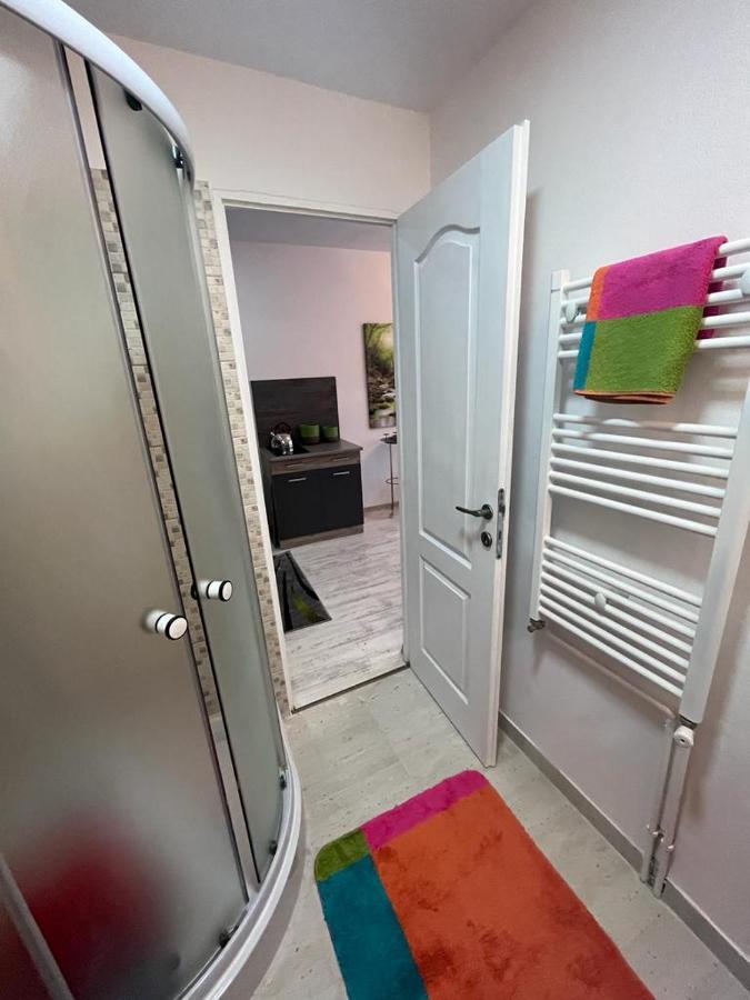 Apartament Acasa Sf.Gheorghe Sfântu-Gheorghe Buitenkant foto