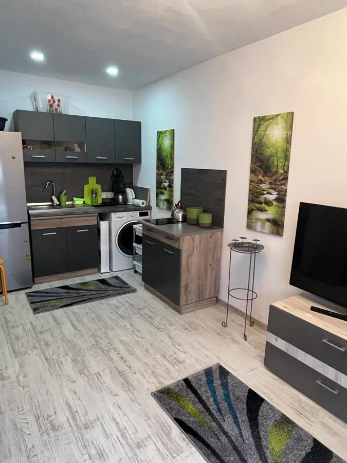 Apartament Acasa Sf.Gheorghe Sfântu-Gheorghe Buitenkant foto