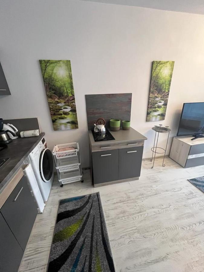 Apartament Acasa Sf.Gheorghe Sfântu-Gheorghe Buitenkant foto